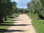 SPA INSTITUT Avignon, photo Serge Briez®capmédiations 2014