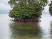 SPA INSTITUT Avignon, photo Serge Briez®capmédiations 2014