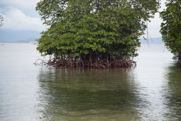 SPA INSTITUT Avignon, photo Serge Briez®capmédiations 2014