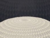 BANDEAU EMERGENCE BEAUTE japonais, photo Serge Briez®capmediations2014