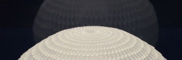 BANDEAU EMERGENCE BEAUTE japonais, photo Serge Briez®capmediations2014